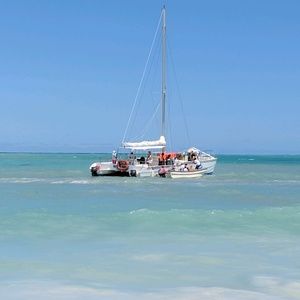 Meet your Posher, Jonty